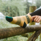 Chaussettes Basses de Voyage (Pack de 2 Paires)