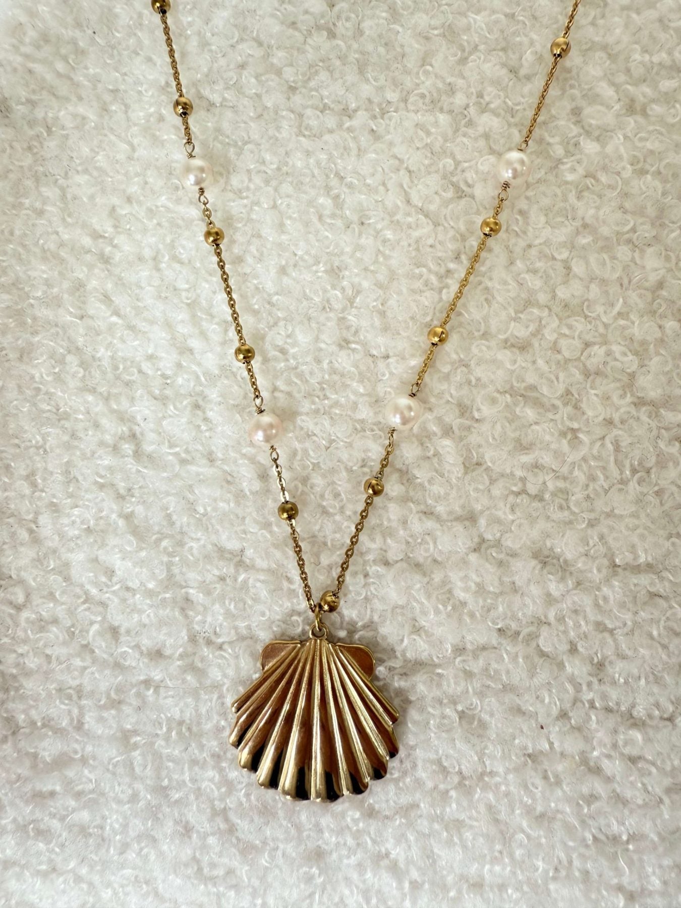 Collier coquillage