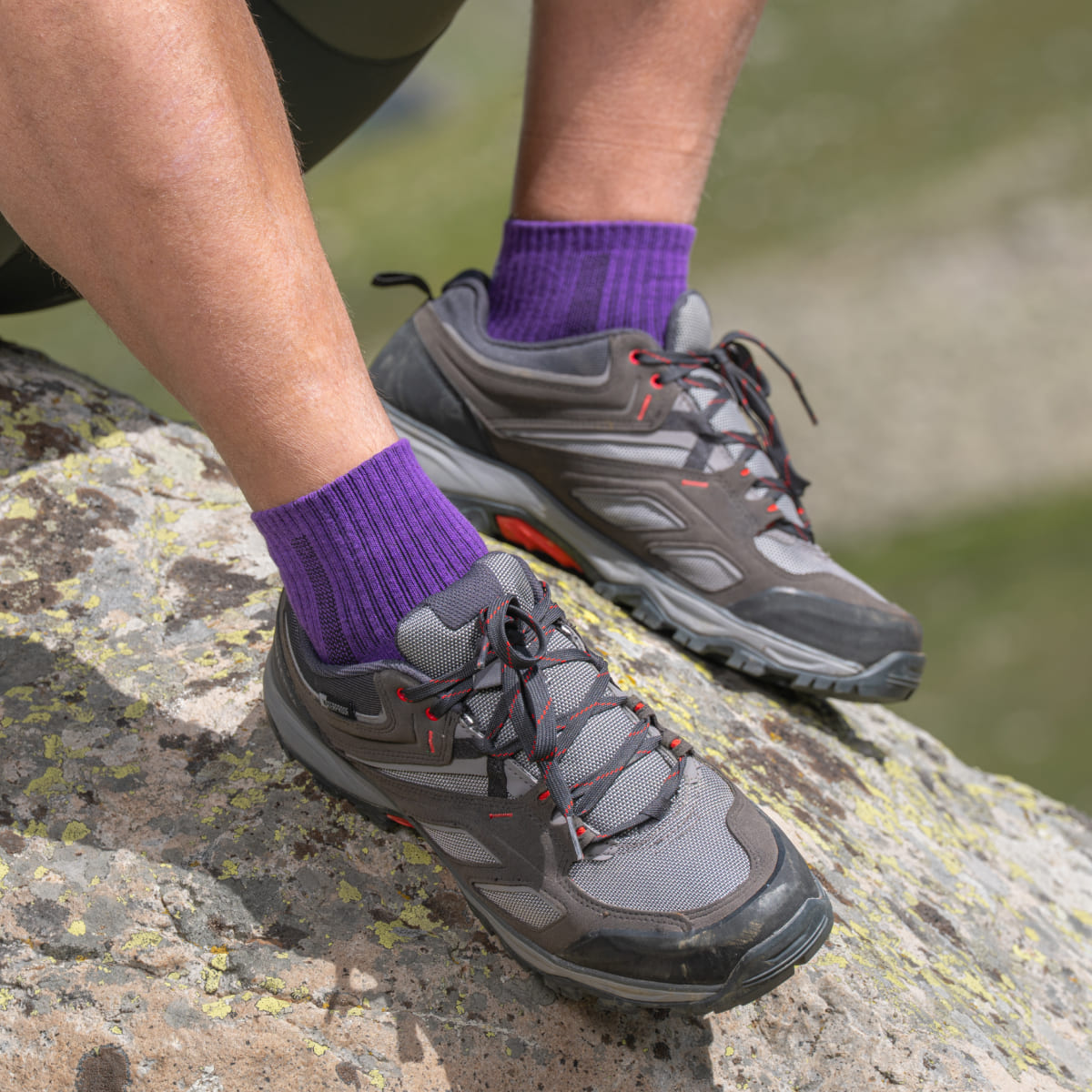Randonnée - Violet Hiking Socks (1 Pair)