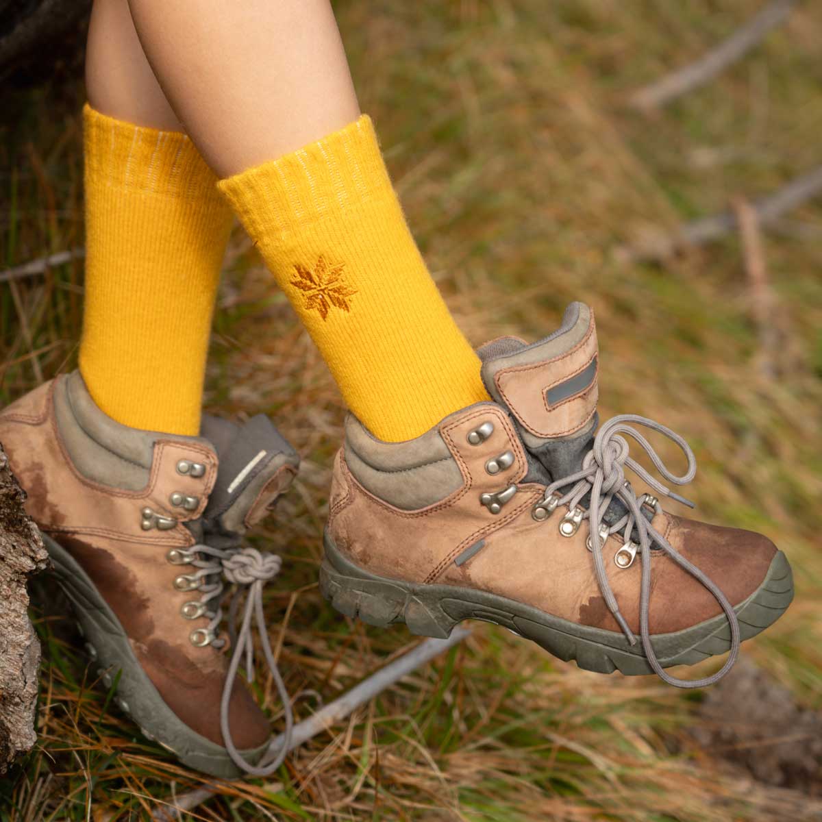 Ensemble de 3 Paires d'Éléments