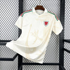 Pays de Galles Maillot Équipe Nationale 2026