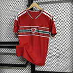 Pays de Galles Maillot Équipe Nationale 2026