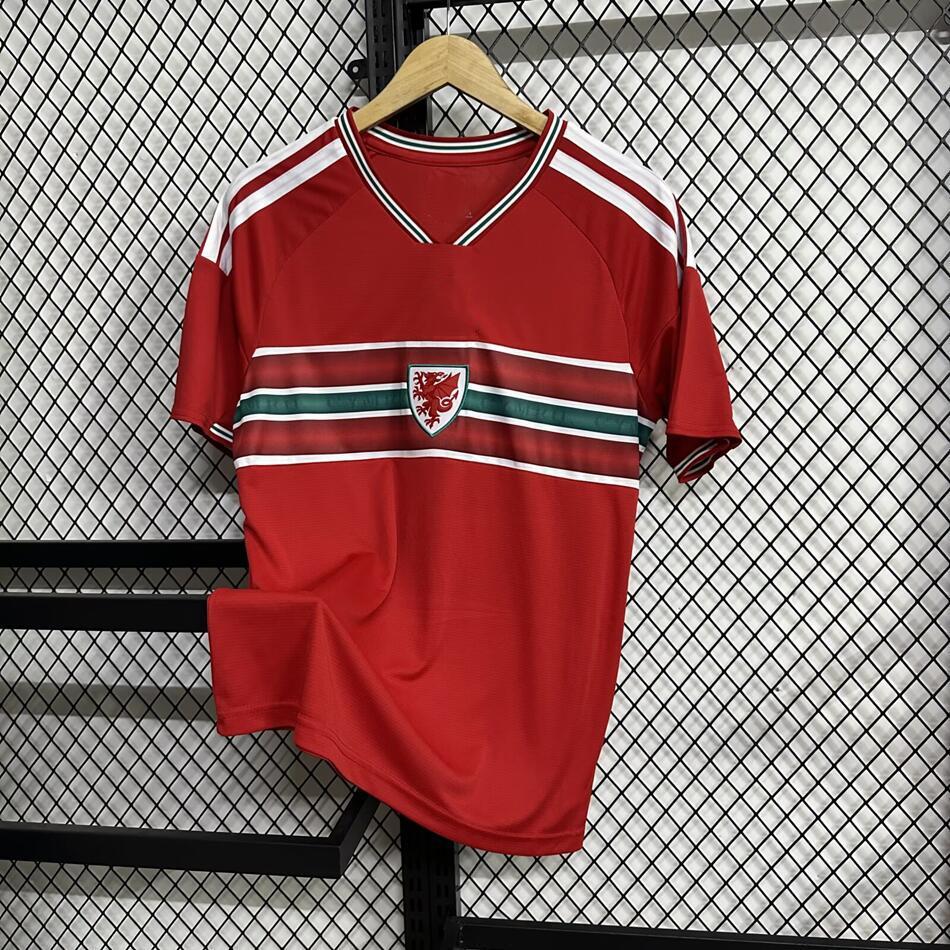 Pays de Galles Maillot Équipe Nationale 2026